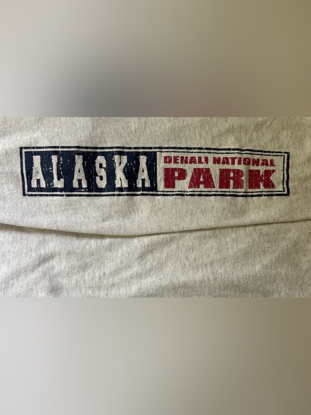 Vintage Alaska Denali National Park Graphic Tee in Heather Gray - Picture 5 of 9